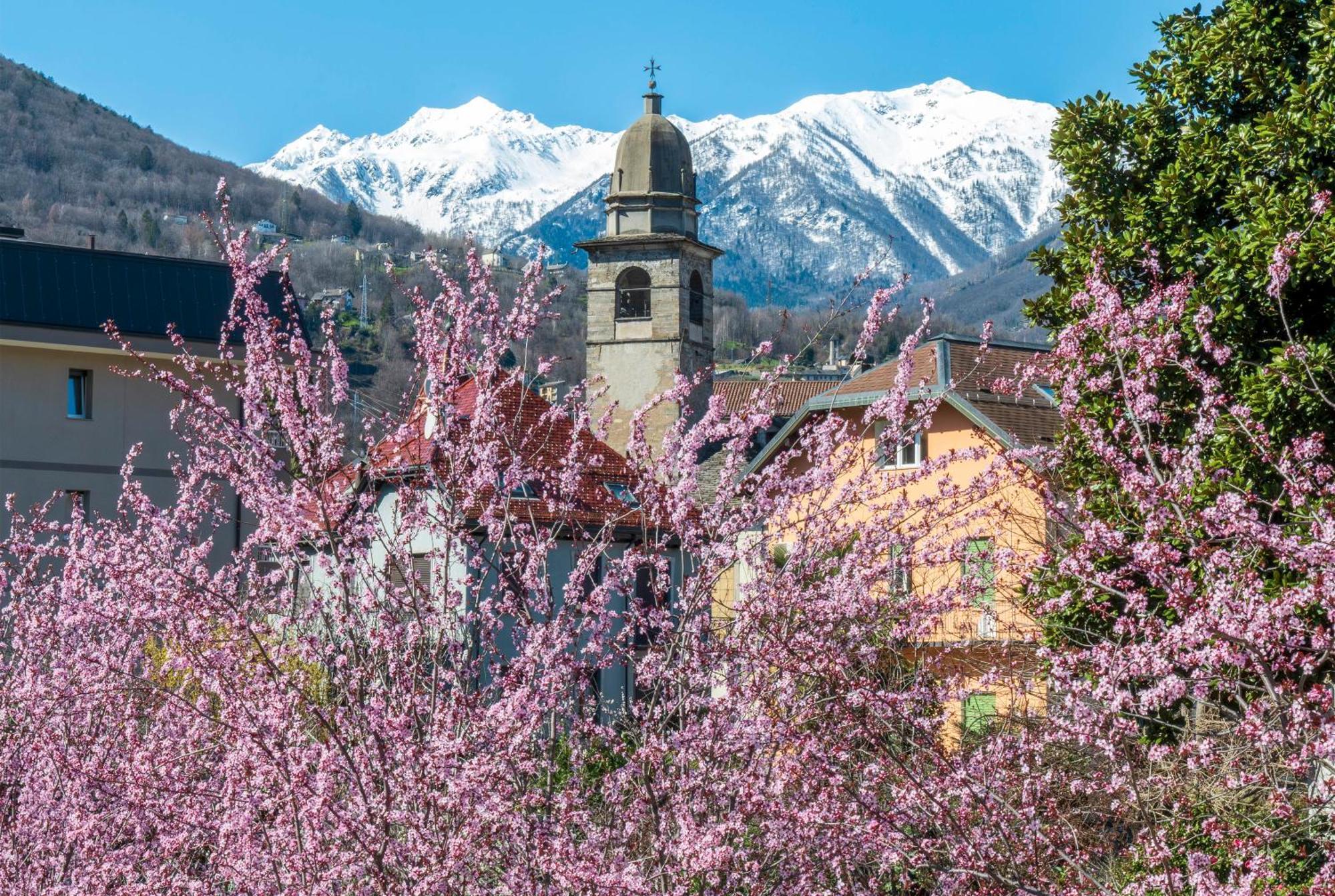 Bed&Breakfast Tiffany Domodossola Exterior foto